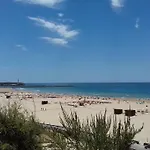 Aqui Rocha ポルティマン